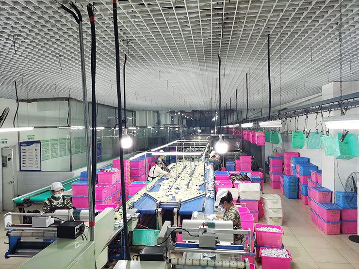 車間展示